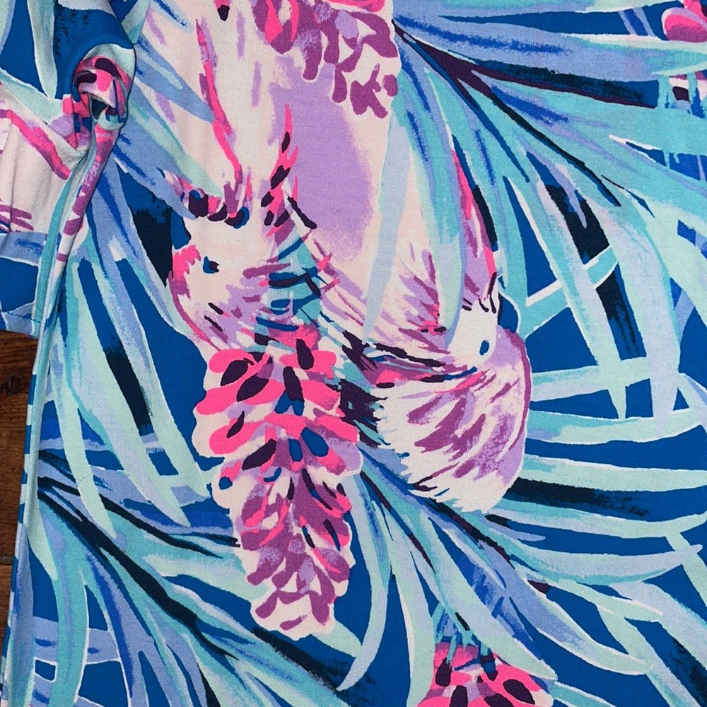 NWT Lilly Pulitzer Lula Dress - Picture 8 of 12